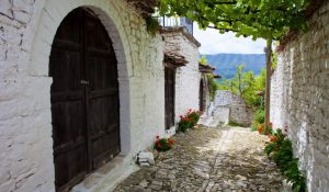 Berat Image