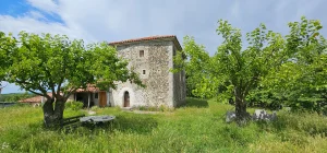 Mirditë Image