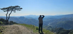 Mirditë Image